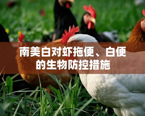 南美白对虾拖便、白便的生物防控措施