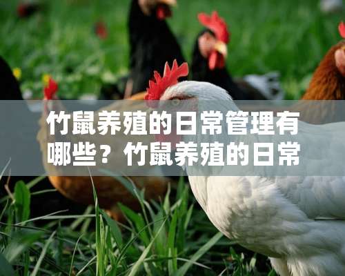 竹鼠养殖的日常管理有哪些？竹鼠养殖的日常管理介绍