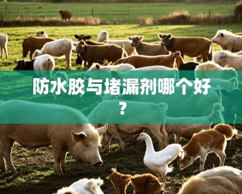 防水胶与堵漏剂哪个好？