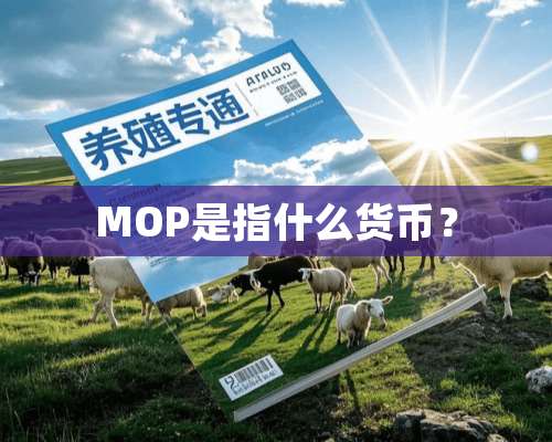 MOP是指什么货币？