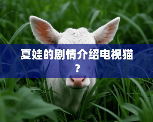 夏娃的剧情介绍电视猫？