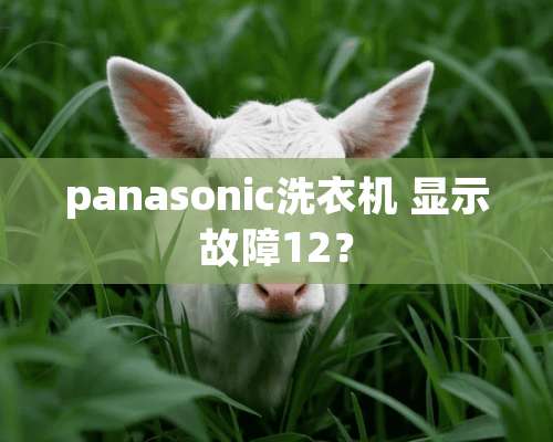 panasonic洗衣机 显示故障12？