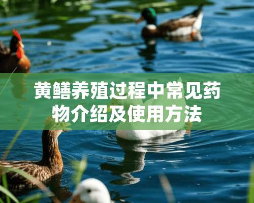 黄鳝养殖过程中常见药物介绍及使用方法