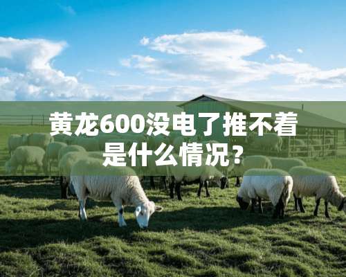 黄龙600没电了推不着是什么情况？