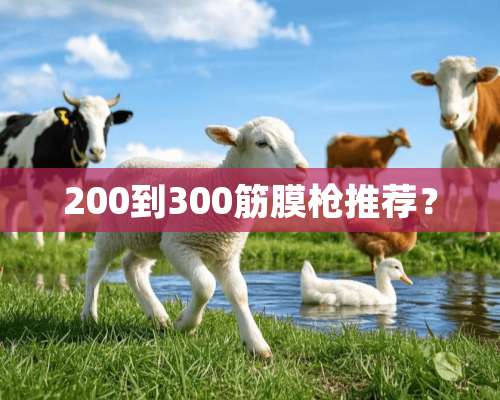 200到300筋膜*推荐？