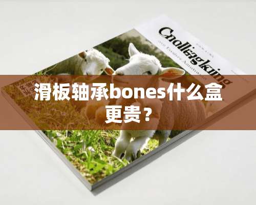 滑板轴承bones什么盒更贵？