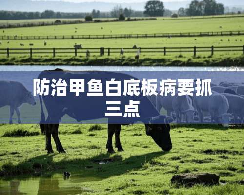 防治甲鱼白底板病要抓三点