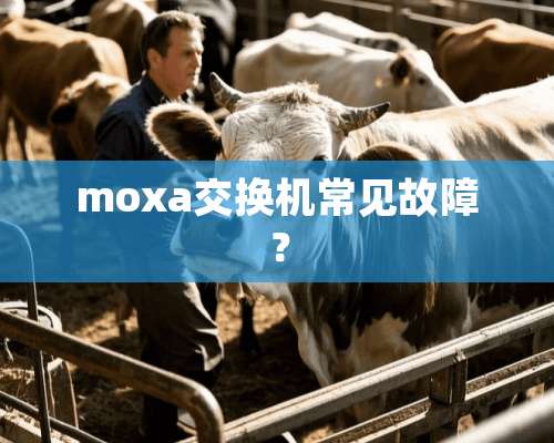 moxa交换机常见故障？