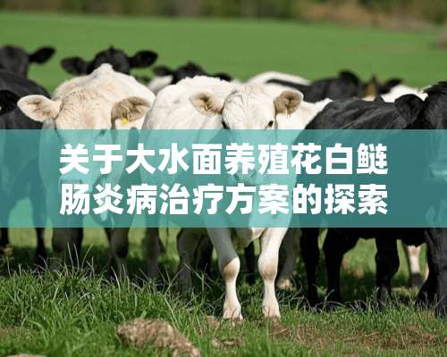 关于大水面养殖花白鲢肠炎病治疗方案的探索