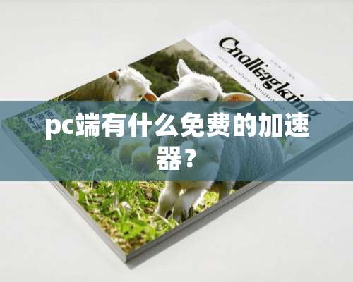 pc端有什么免费的加速器？