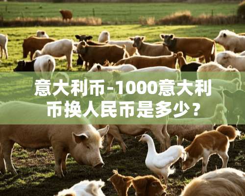 意大利币-1000意大利币换人民币是多少？