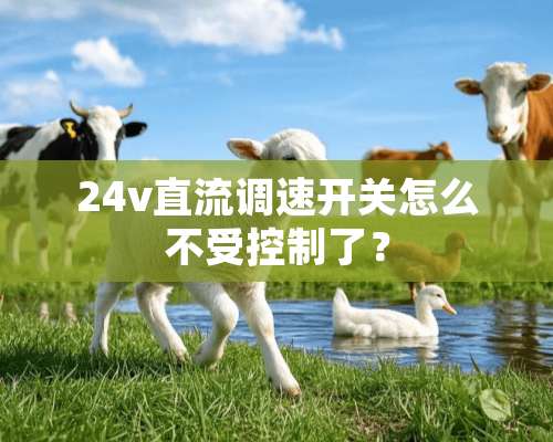 24v直流调速开关怎么不受控制了？