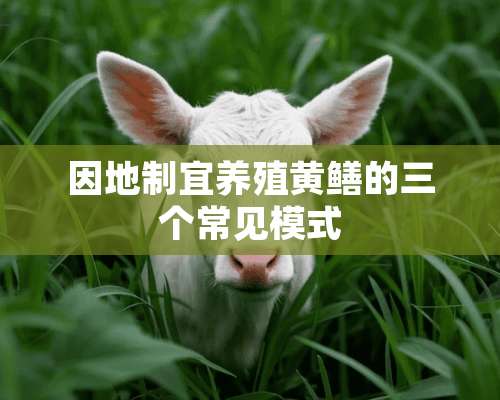 因地制宜养殖黄鳝的三个常见模式