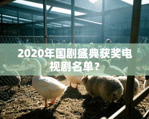 2020年国剧盛典获奖电视剧名单？