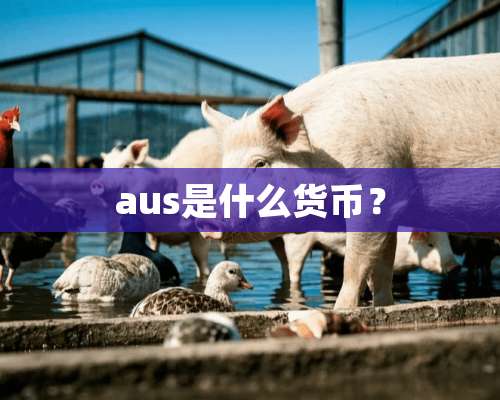 aus是什么货币？