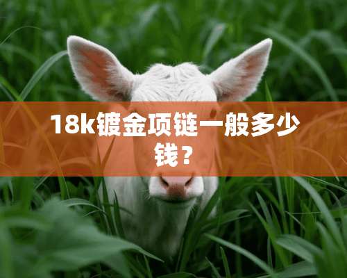 18k镀金项链一般多少钱？