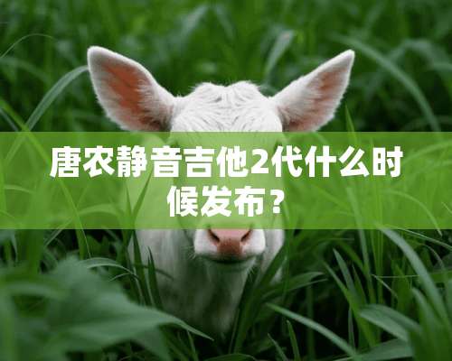 唐农静音吉他2代什么时候发布？