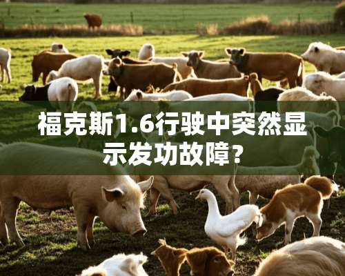 福克斯1.6行驶中突然显示发功故障？