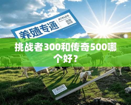 挑战者300和传奇500哪个好？