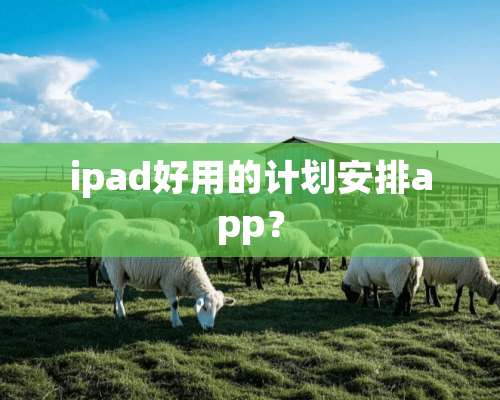 ipad好用的计划安排app？