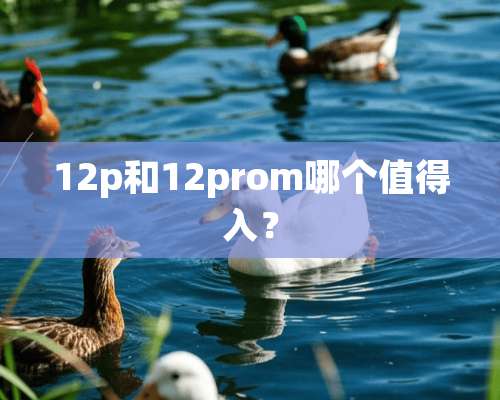 12p和12prom哪个值得入？