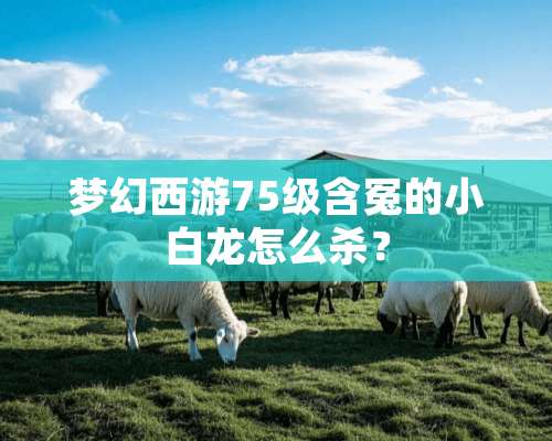 梦幻西游75级含冤的小白龙怎么杀？