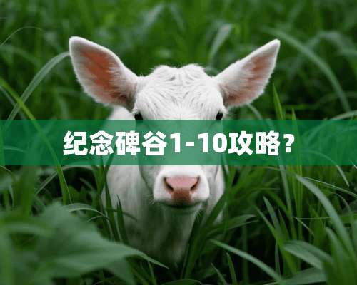 纪念碑谷1-10攻略？