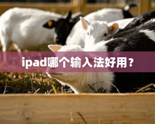 ipad哪个输入法好用？