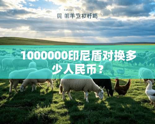 1000000印尼盾对换多少人民币？