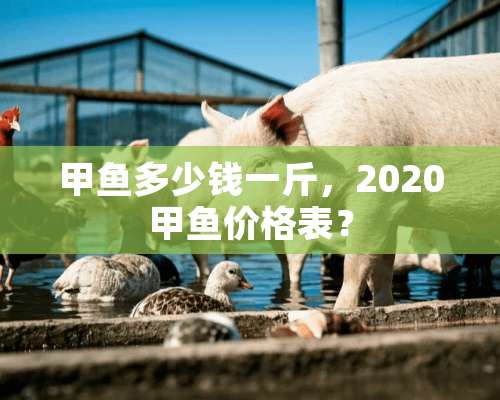 甲鱼多少钱一斤，2020甲鱼价格表？