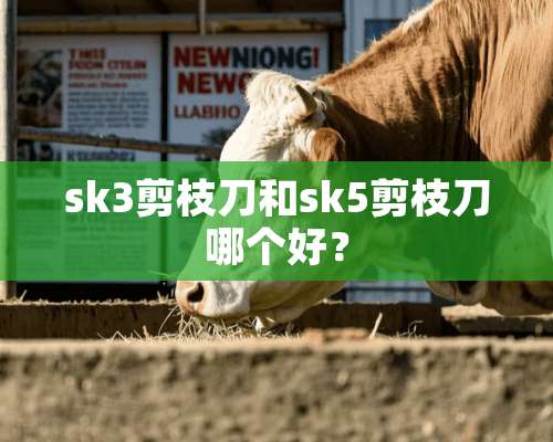 sk3剪枝刀和sk5剪枝刀哪个好？