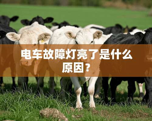 电车故障灯亮了是什么原因？