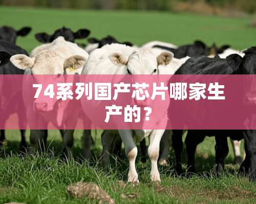 74系列国产芯片哪家生产的？