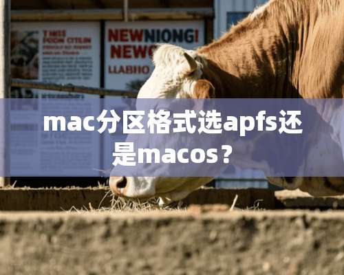 mac分区格式选apfs还是macos？