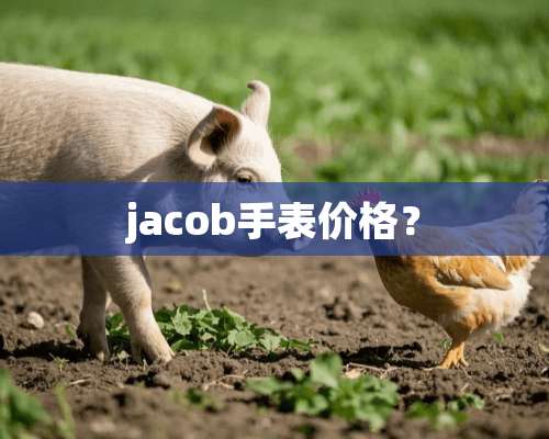 jacob手表价格？