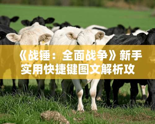 《战锤：全面战争》新手实用快捷键图文解析攻略？