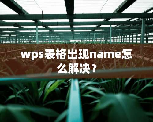 wps表格出现name怎么解决？