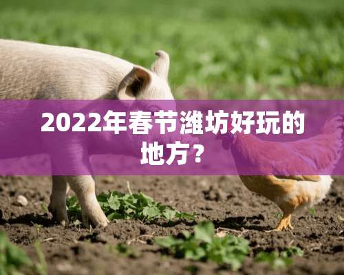 2022年春节潍坊好玩的地方？