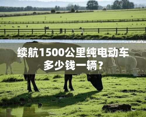 续航1500公里纯电动车多少钱一辆？