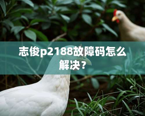 志俊p2188故障码怎么解决？