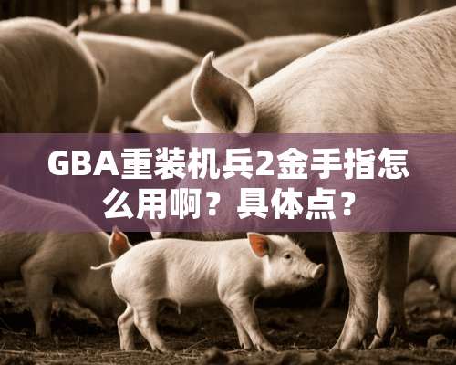 GBA重装机兵2金手指怎么用啊？具体点？