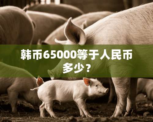 韩币65000等于人民币多少？