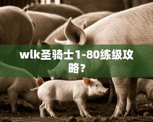 wlk圣骑士1-80练级攻略？