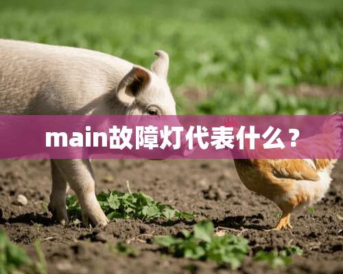 main故障灯代表什么？