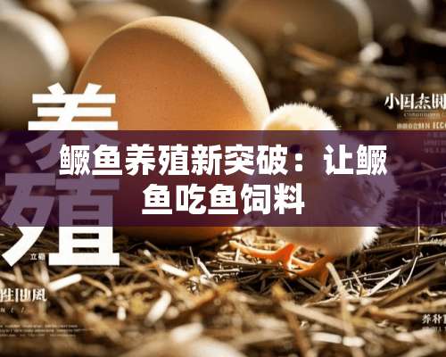 鳜鱼养殖新突破：让鳜鱼吃鱼饲料