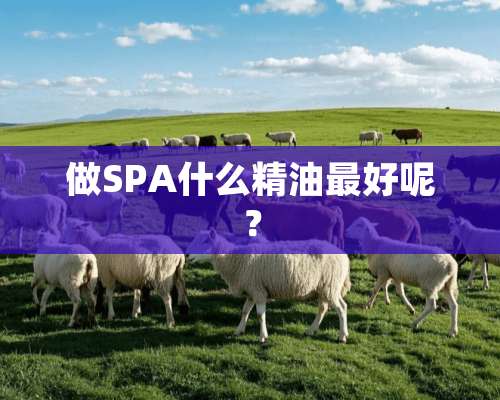 做SPA什么精油最好呢？