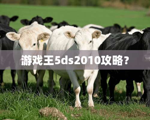 游戏王5ds2010攻略？