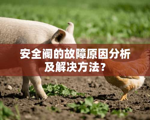 安全阀的故障原因分析及解决方法？