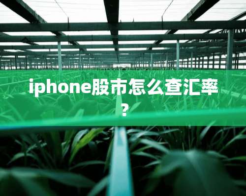 iphone股市怎么查汇率？