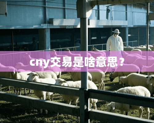 cny交易是啥意思？